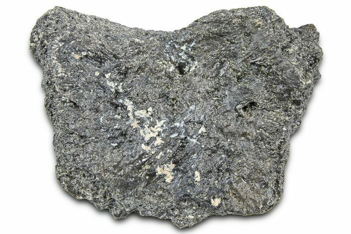 Fossil Glyptodont (Glyptotherium) Bony Armor Osteoderm - Florida #362328